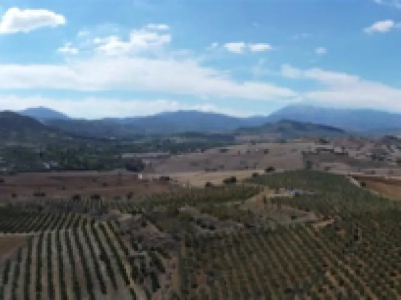58 hectares in Coín with unlimited water