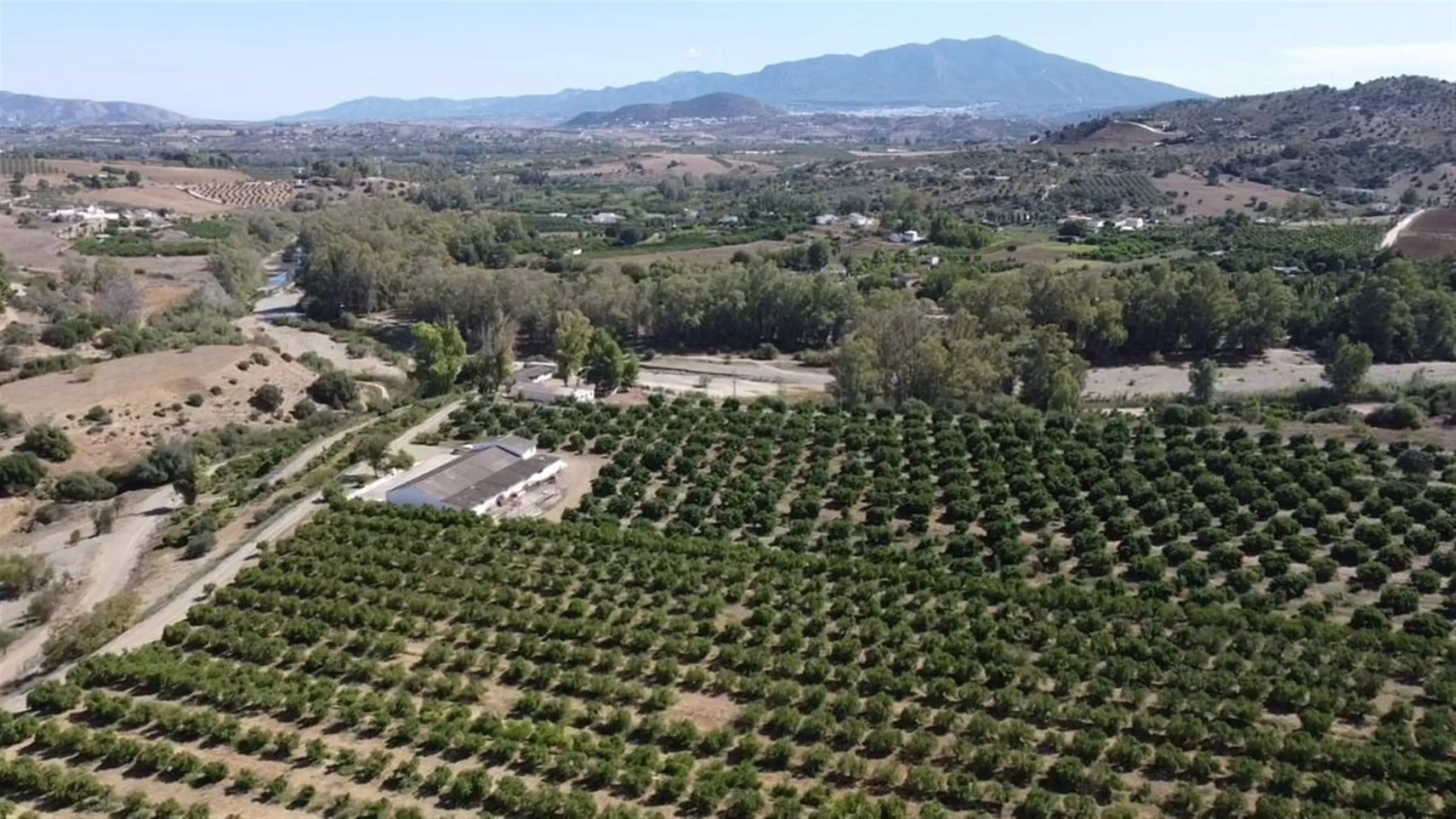 58 hectares in Coín with unlimited water