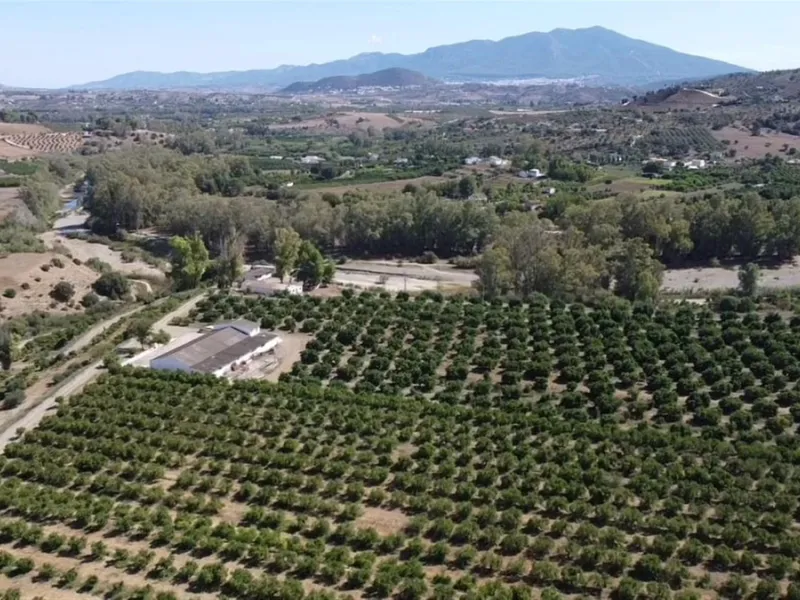 58 hectares in Coín with unlimited water