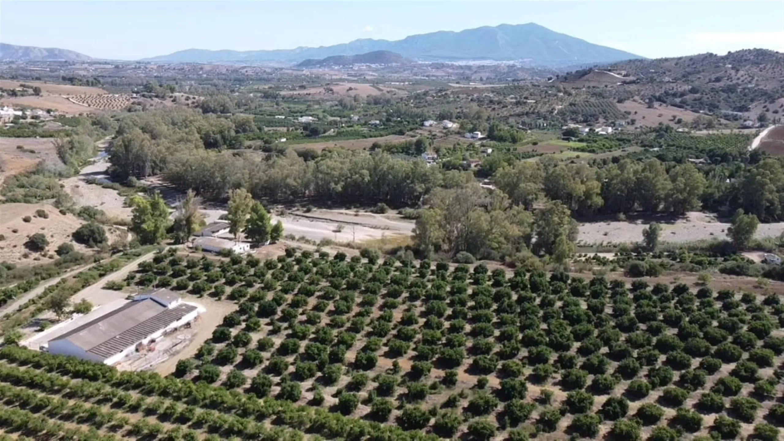 58 hectares in Coín with unlimited water