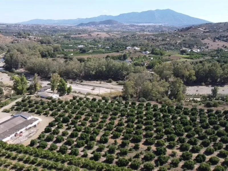 58 hectares in Coín with unlimited water
