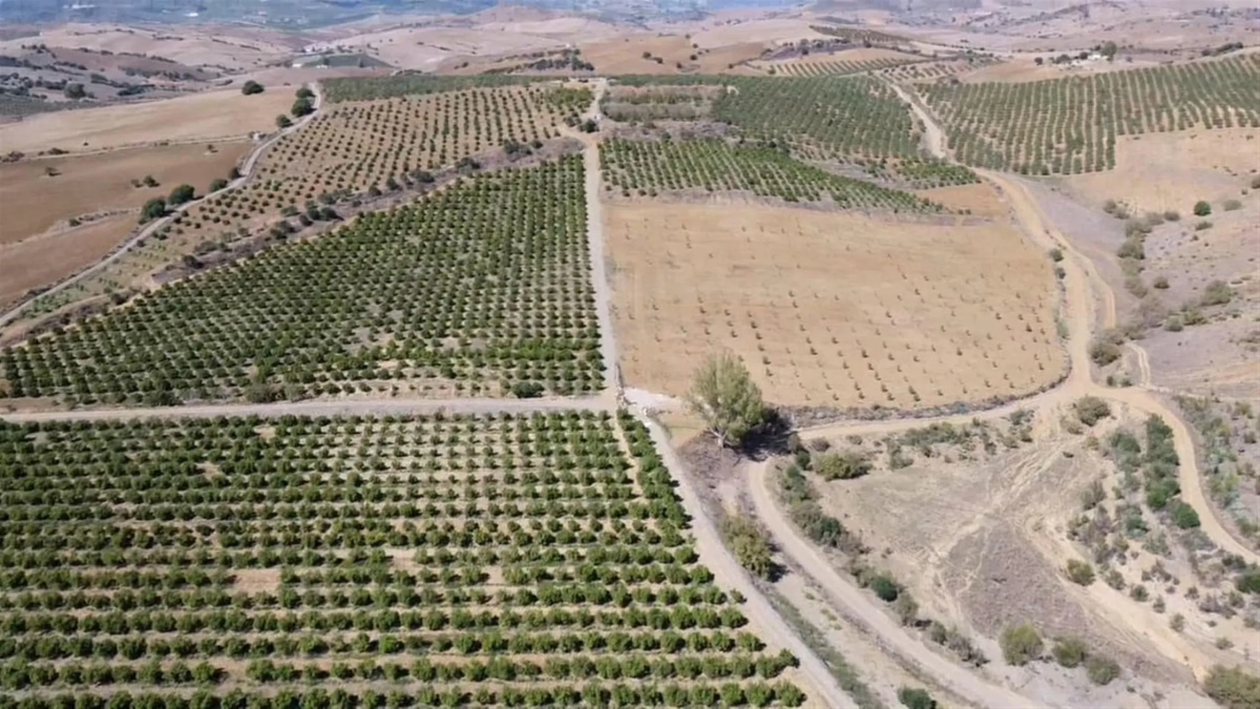 58 hectares in Coín with unlimited water