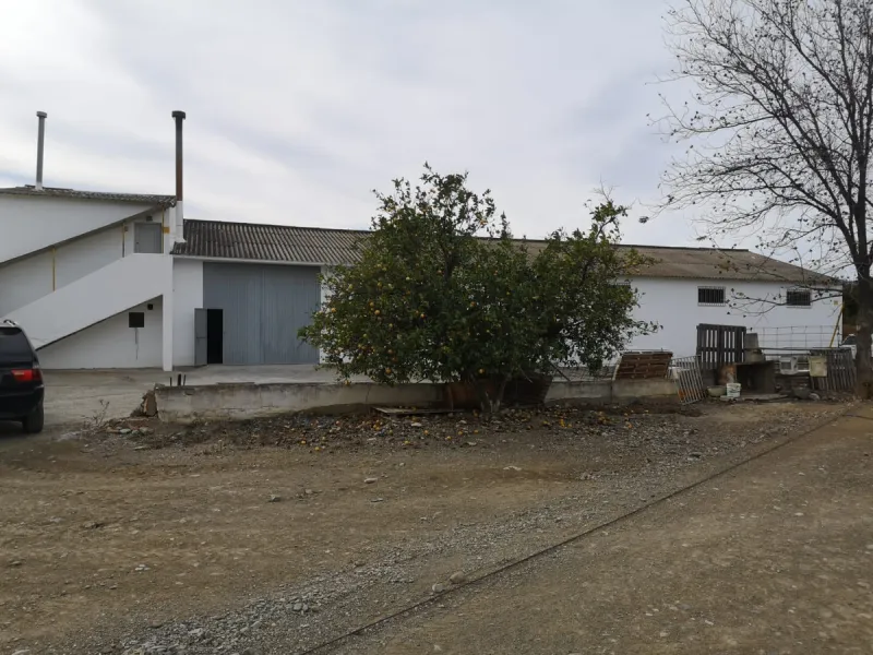58 hectares in Coín with unlimited water