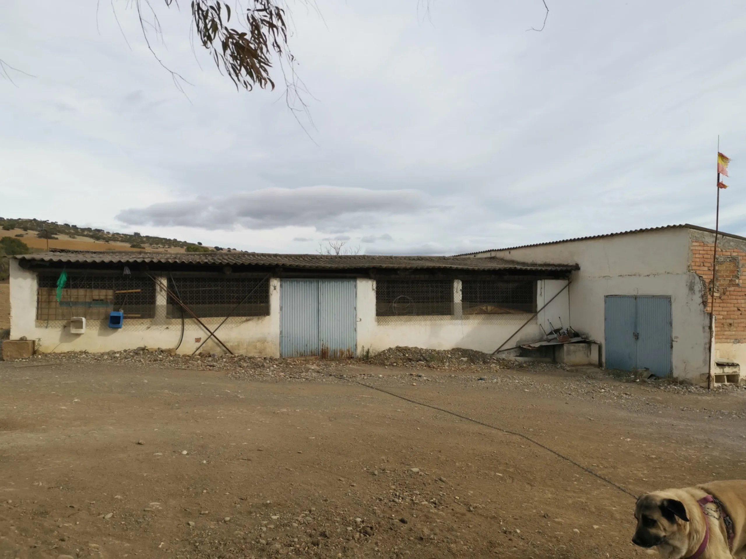 58 hectares in Coín with unlimited water
