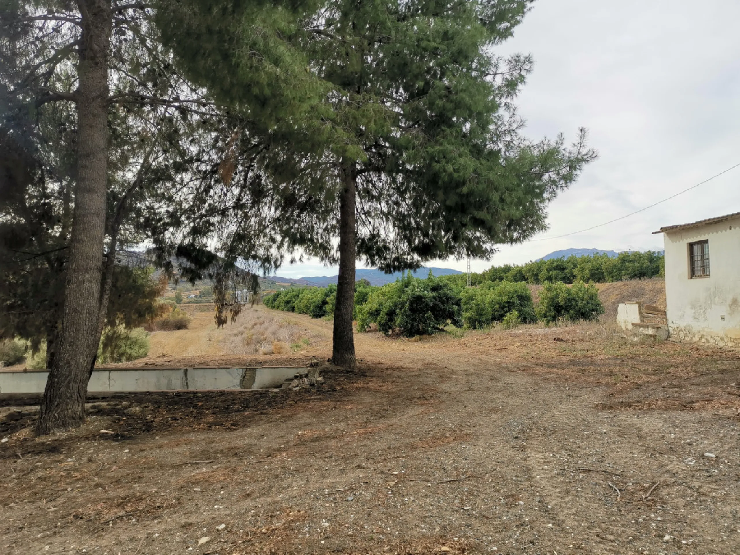 58 hectares in Coín with unlimited water