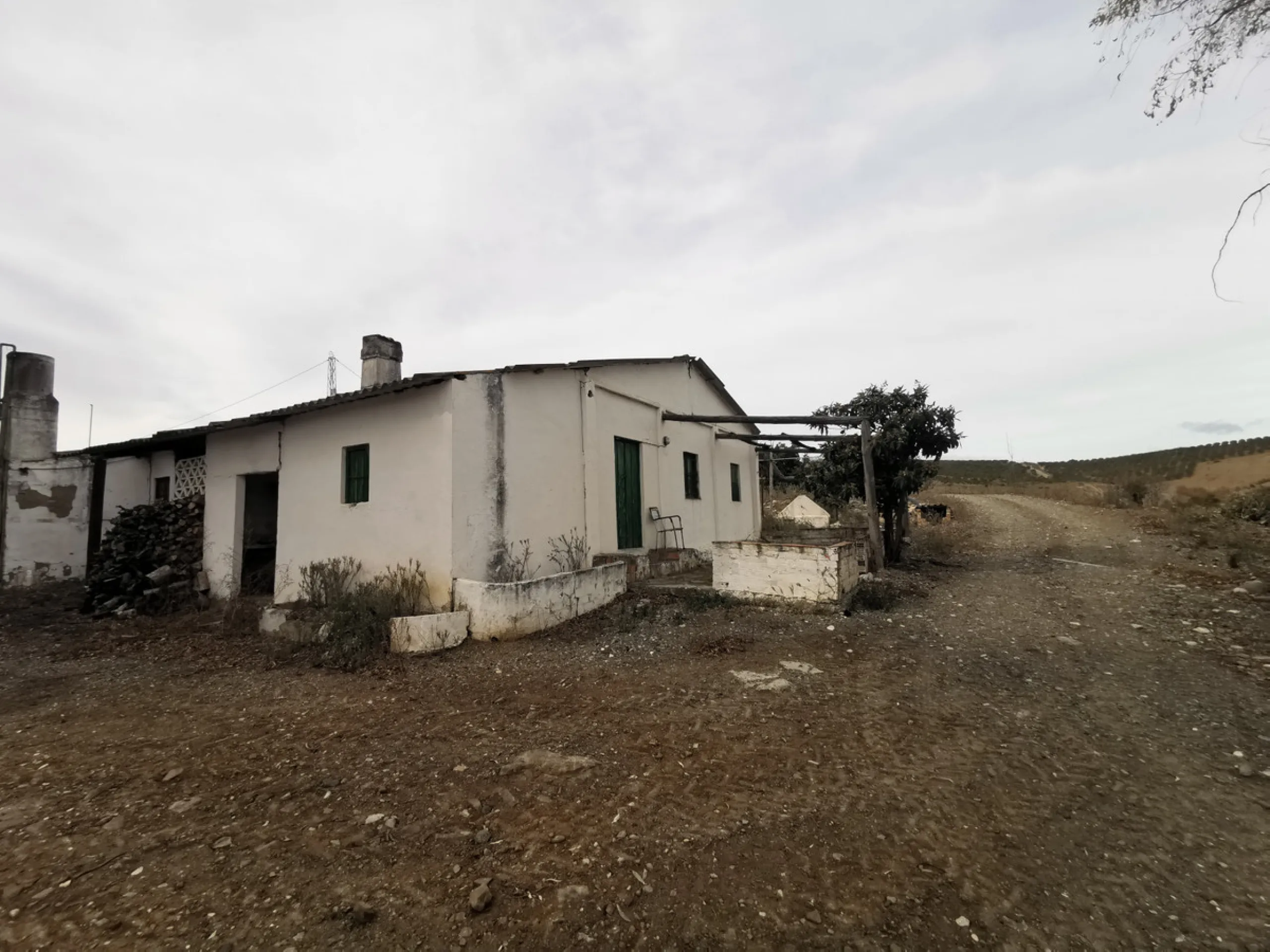 58 hectares in Coín with unlimited water