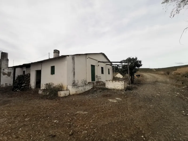 58 hectares in Coín with unlimited water