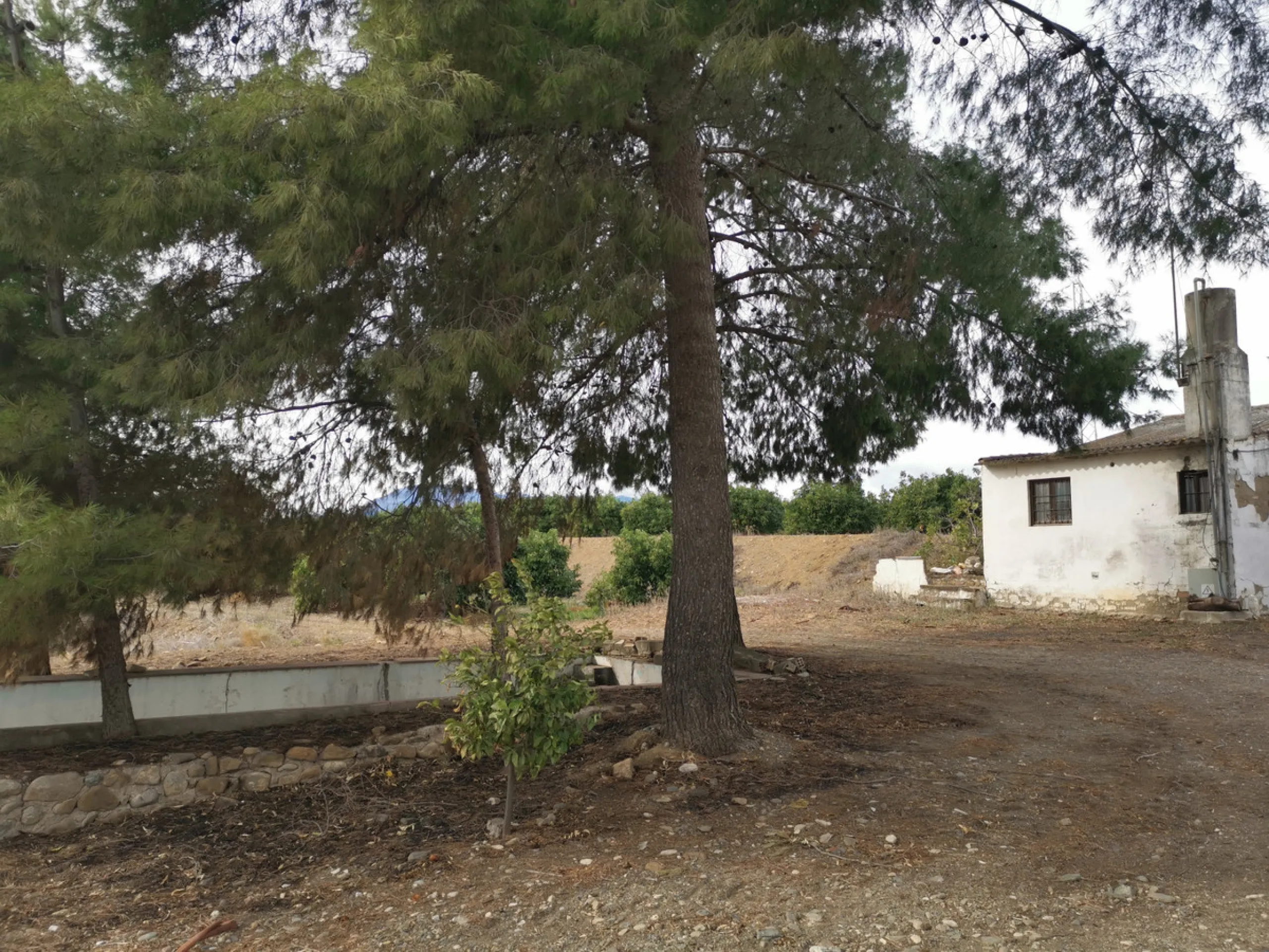 58 hectares in Coín with unlimited water