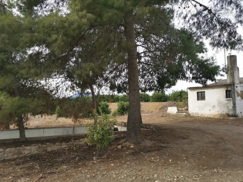 58 hectares in Coín with unlimited water