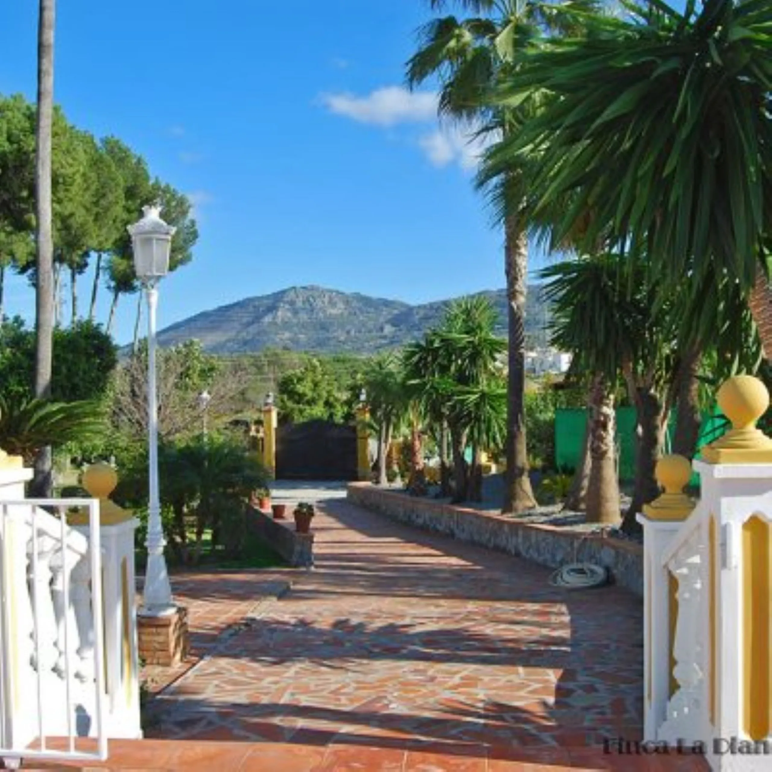 Andalusian Villa located on a plot of 12,000 square meters. With a 3000 m2 garden, mature with some trees over 100 years old, close to schools and shops, with easy access to the highway and close to Malaga airport.