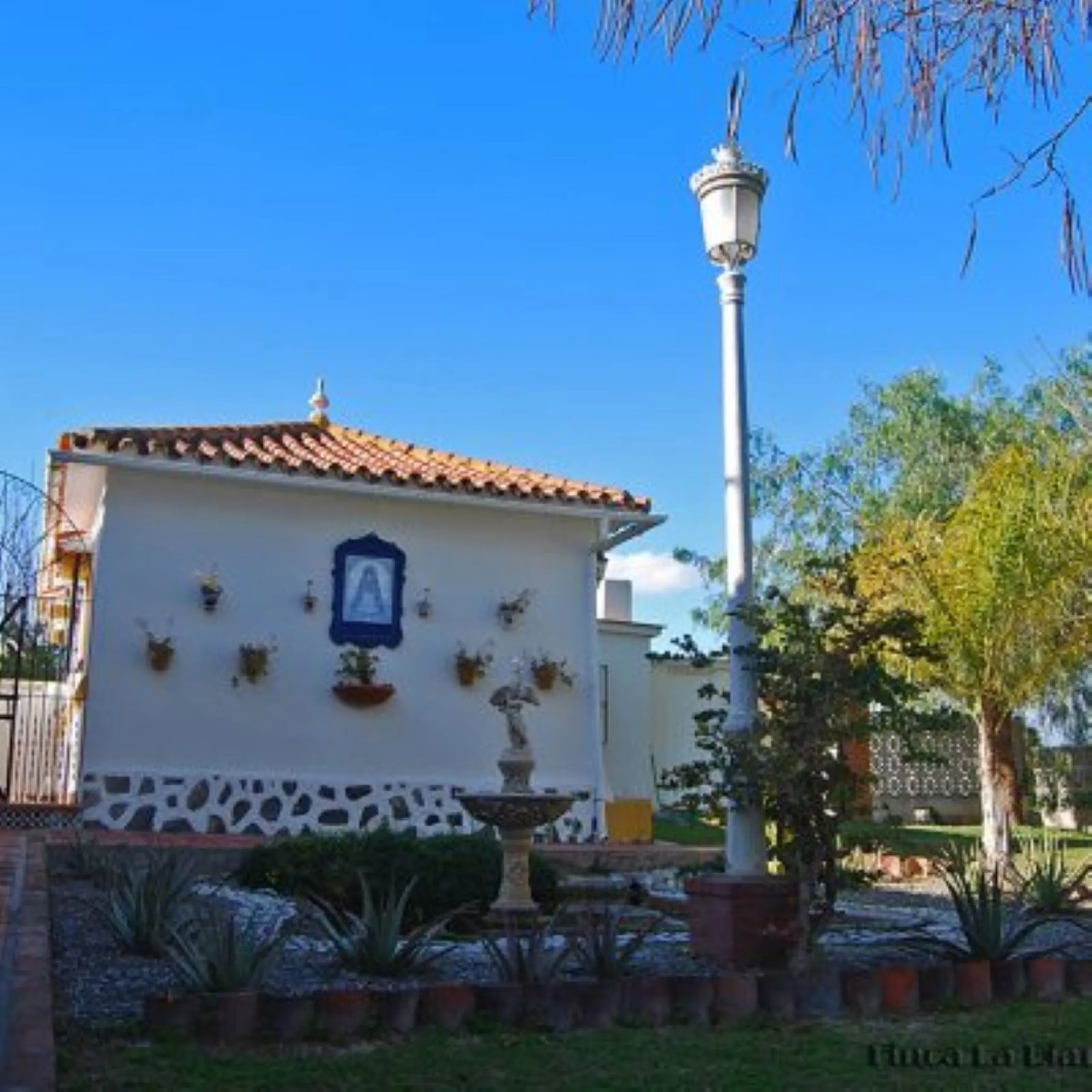 Andalusian Villa located on a plot of 12,000 square meters. With a 3000 m2 garden, mature with some trees over 100 years old, close to schools and shops, with easy access to the highway and close to Malaga airport.