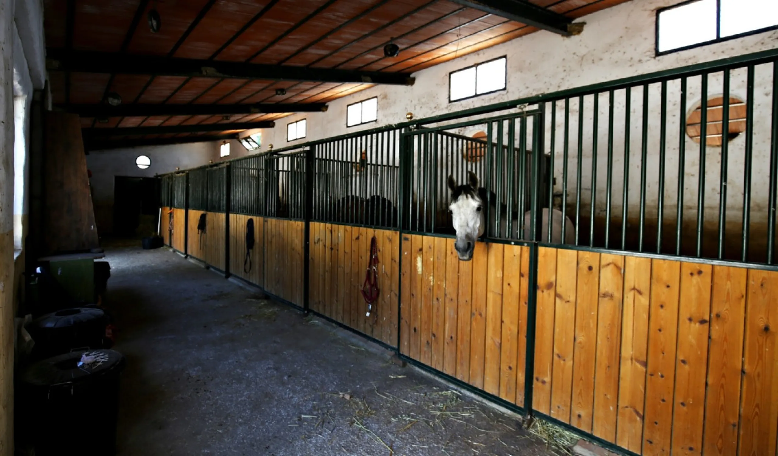 Exclusive and unique of its kind: a 16.000m2 Andalusian vacation resort with horse farm between Frigiliana and Nerja - with a built-up area of more than 1.600m2! In total, the resort has nine bedrooms, ten bathrooms and two guest toilets, spread over two 