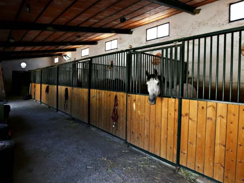Exclusive and unique of its kind: a 16.000m2 Andalusian vacation resort with horse farm between Frigiliana and Nerja - with a built-up area of more than 1.600m2! In total, the resort has nine bedrooms, ten bathrooms and two guest toilets, spread over two 