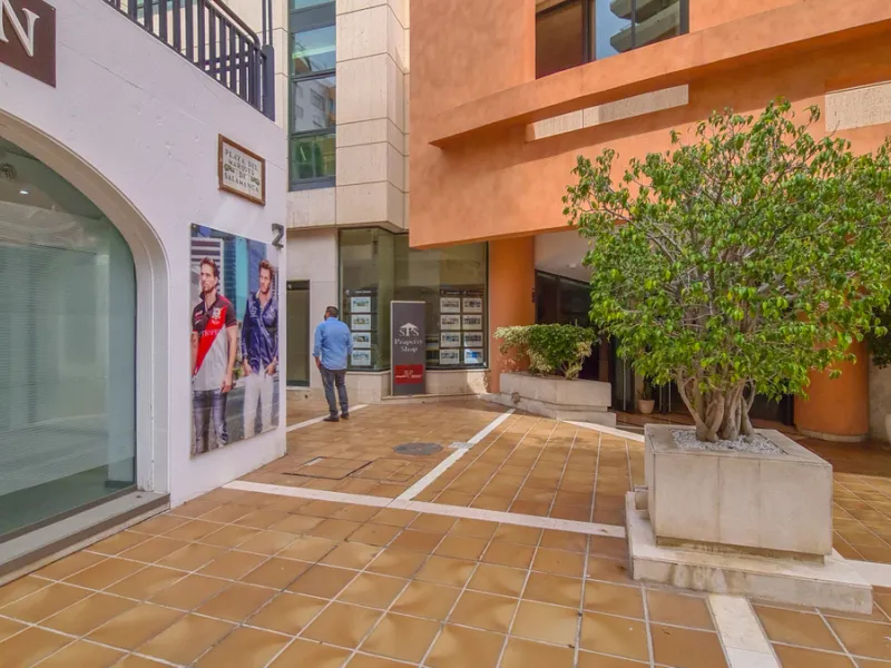 262 m² Freehold Commercial Premises in Marbella City Centre with Dual Glass Frontage on Ricardo Soriano