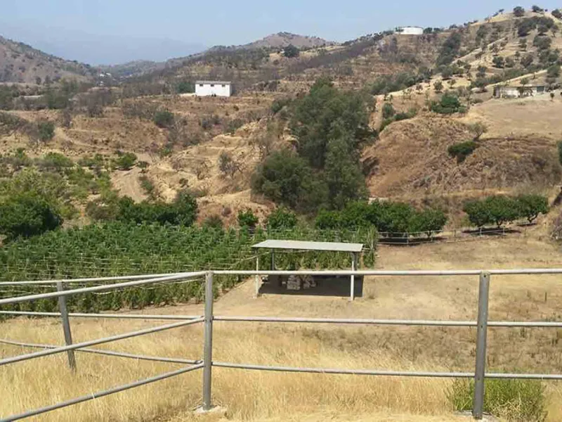 This country house is at PARTIDO GUARO VIEJO, 29130, Coín, Málaga. It is a country house that has 803 m2 and has 6 rooms and 3 bathrooms. Actually it are 2 houses on top of each other with an own entrance. The ground floor and the 1st level are equal. Eac