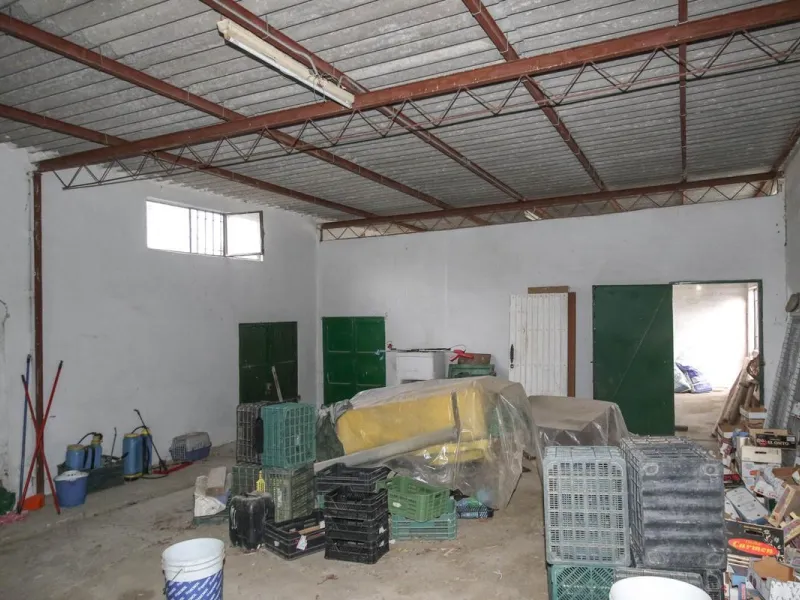 A gorgeous plot, brimming with business opportunity.