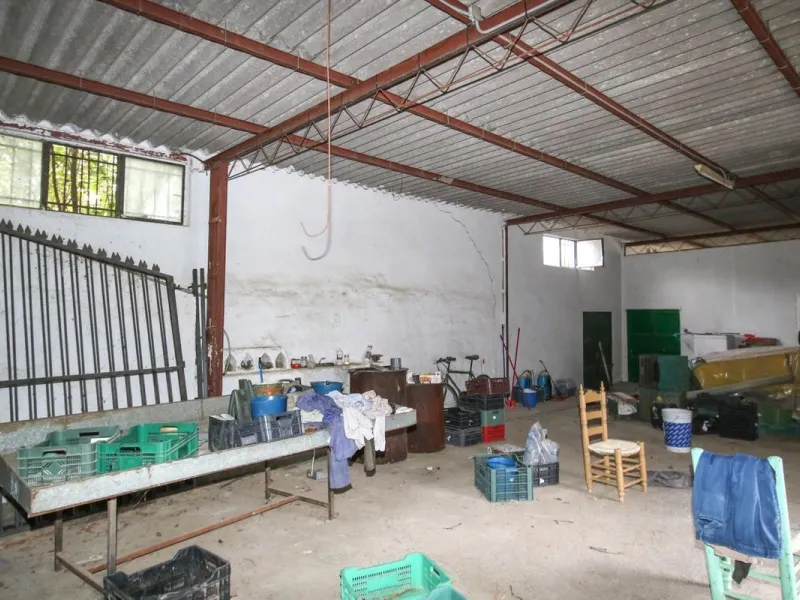 A gorgeous plot, brimming with business opportunity.
