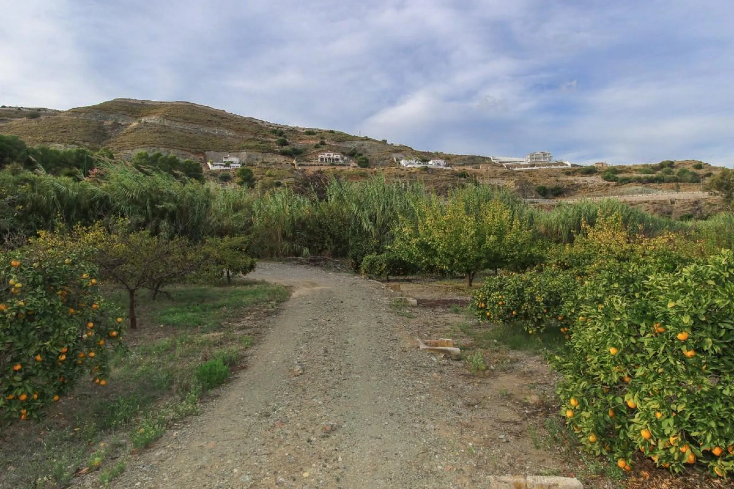 A gorgeous plot, brimming with business opportunity.