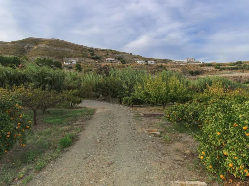A gorgeous plot, brimming with business opportunity.