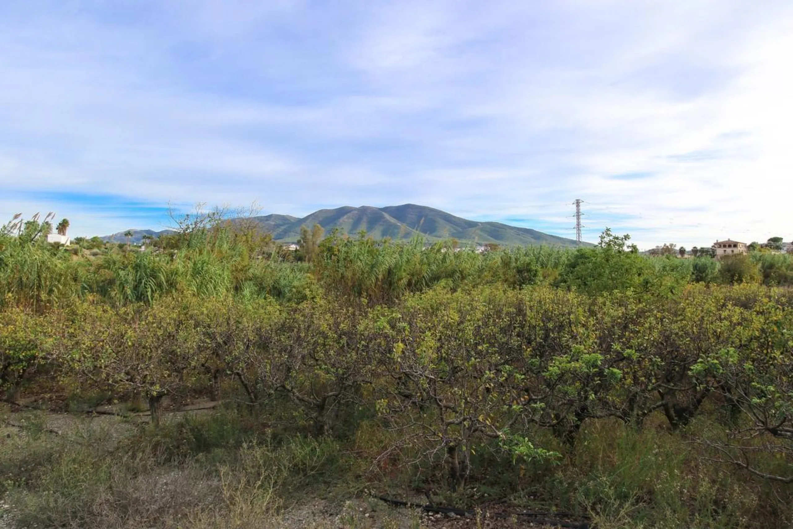 A gorgeous plot, brimming with business opportunity.