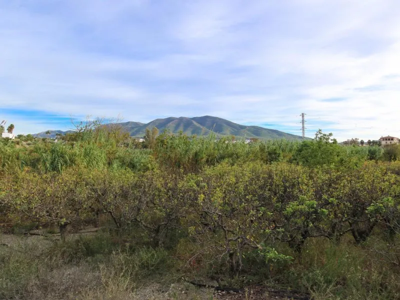 A gorgeous plot, brimming with business opportunity.