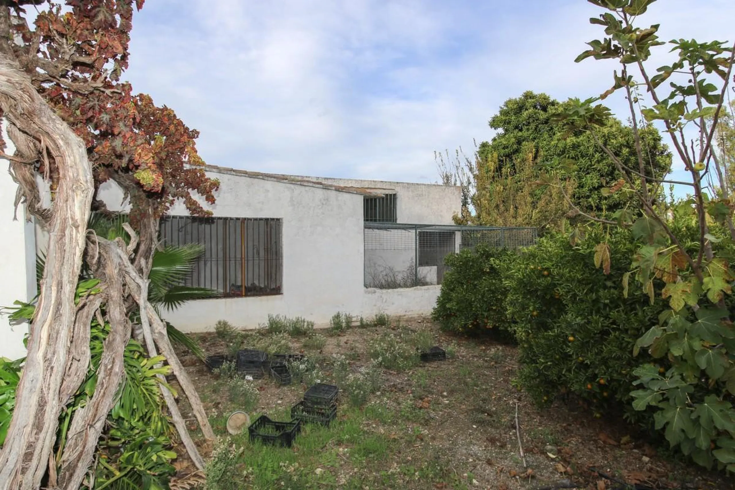 A gorgeous plot, brimming with business opportunity.