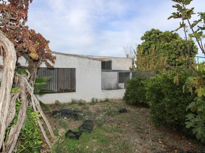 A gorgeous plot, brimming with business opportunity.