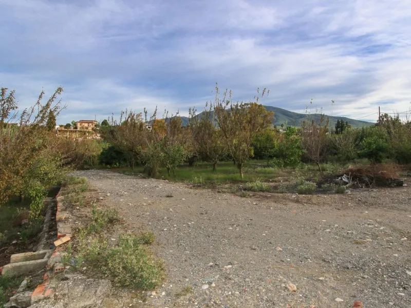 A gorgeous plot, brimming with business opportunity.