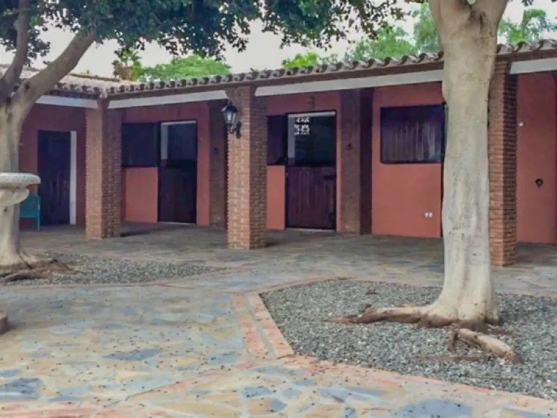 Exceptional Finca with guest apartment and stables located in Coin.