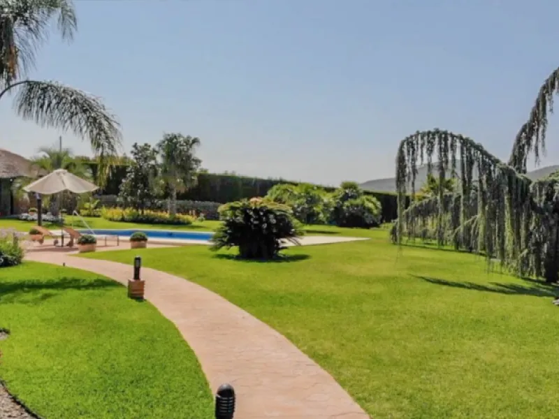 Exceptional Finca with guest apartment and stables located in Coin.