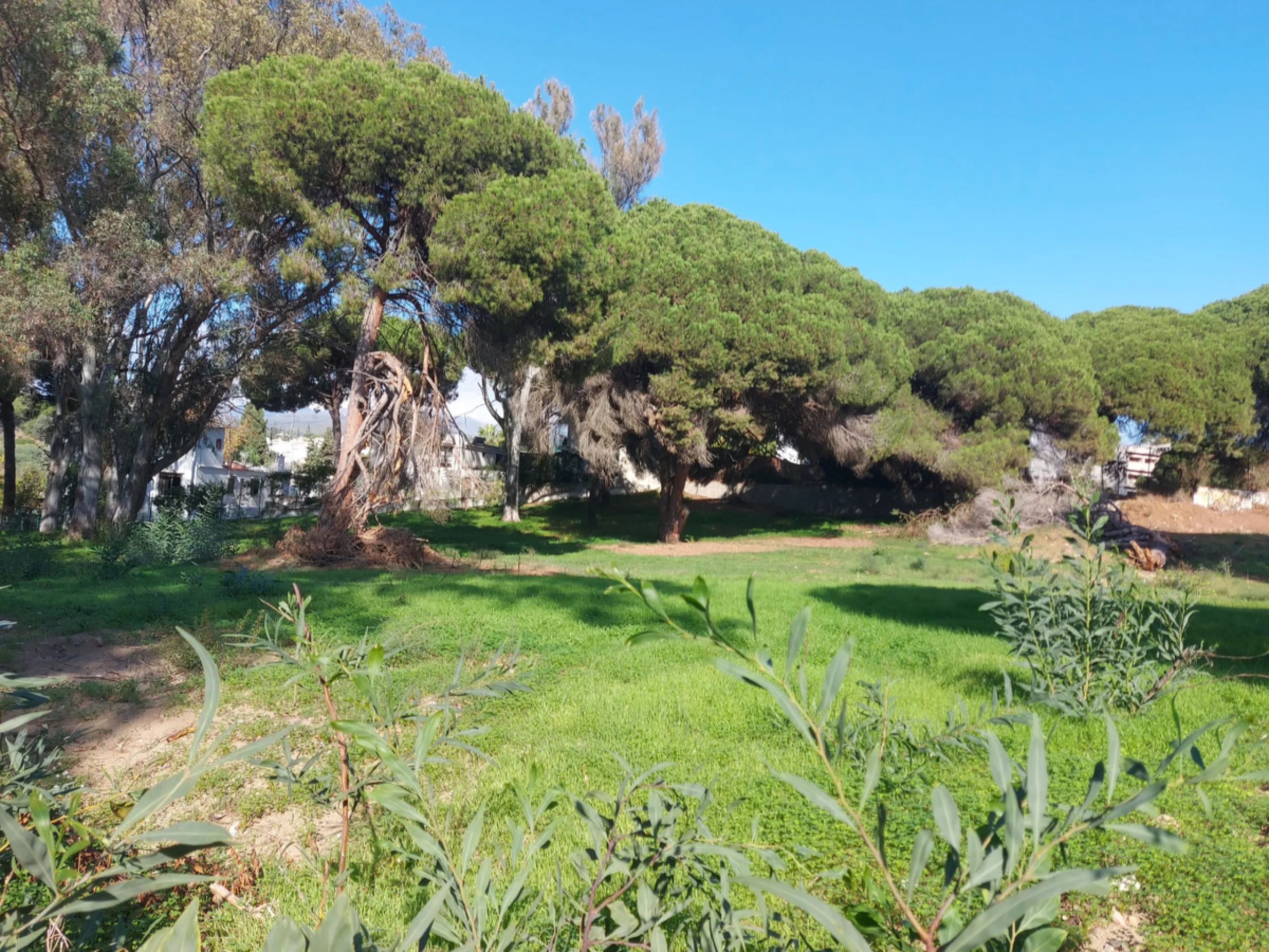 Plot - Residential Plot в продаже в Marbella, Málaga. Площадь участка 3860 м²