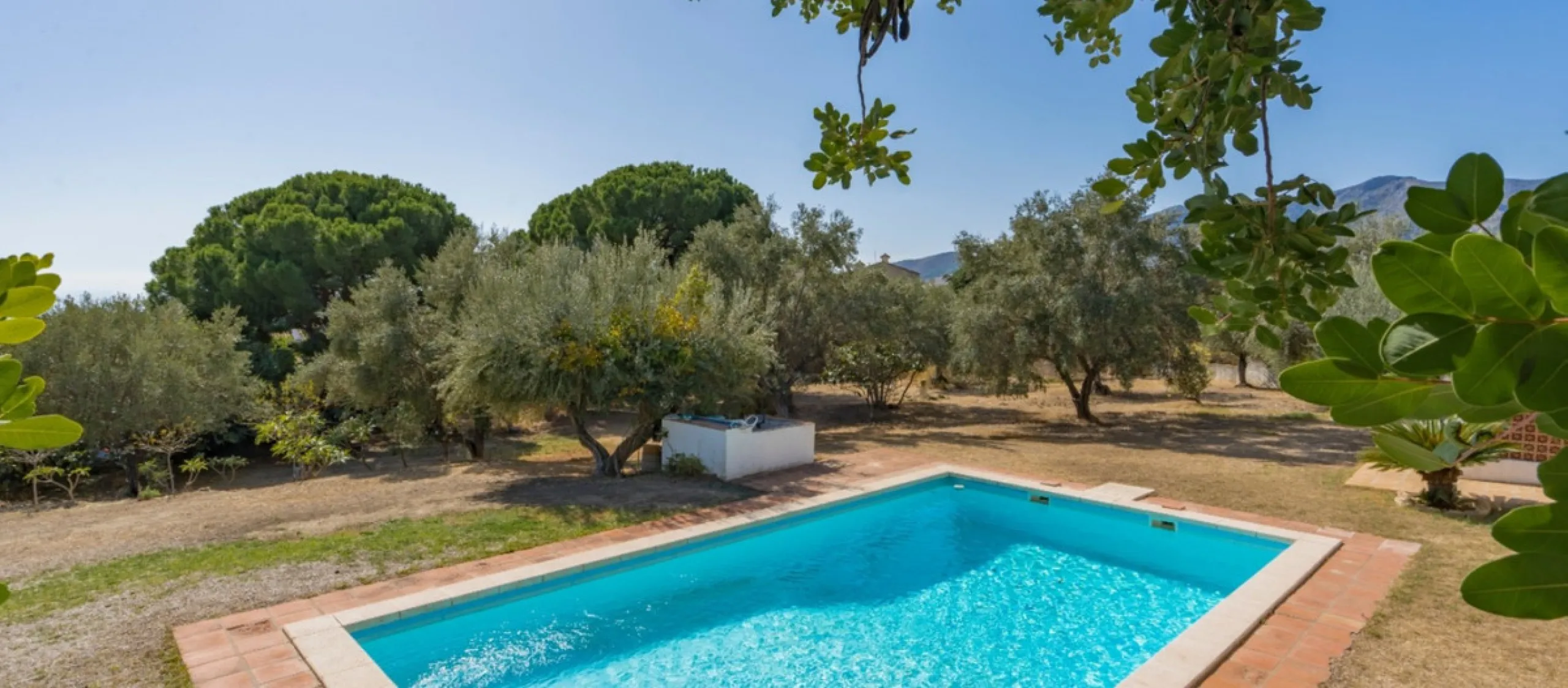 Unique Property with Tremendous Potential in an Exclusive Location!