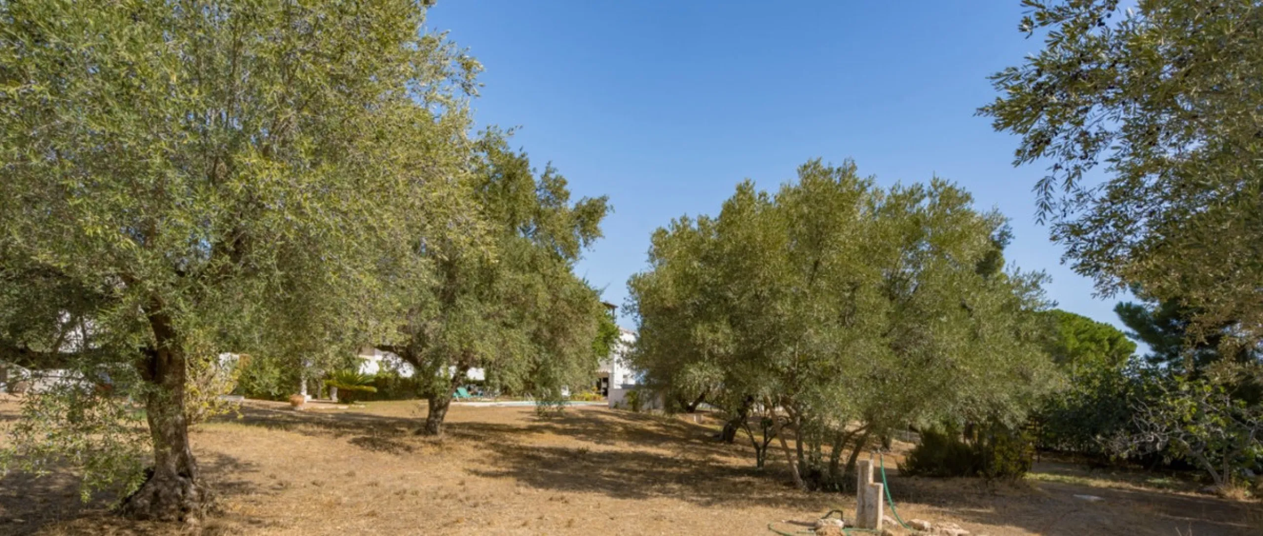 Unique Property with Tremendous Potential in an Exclusive Location!