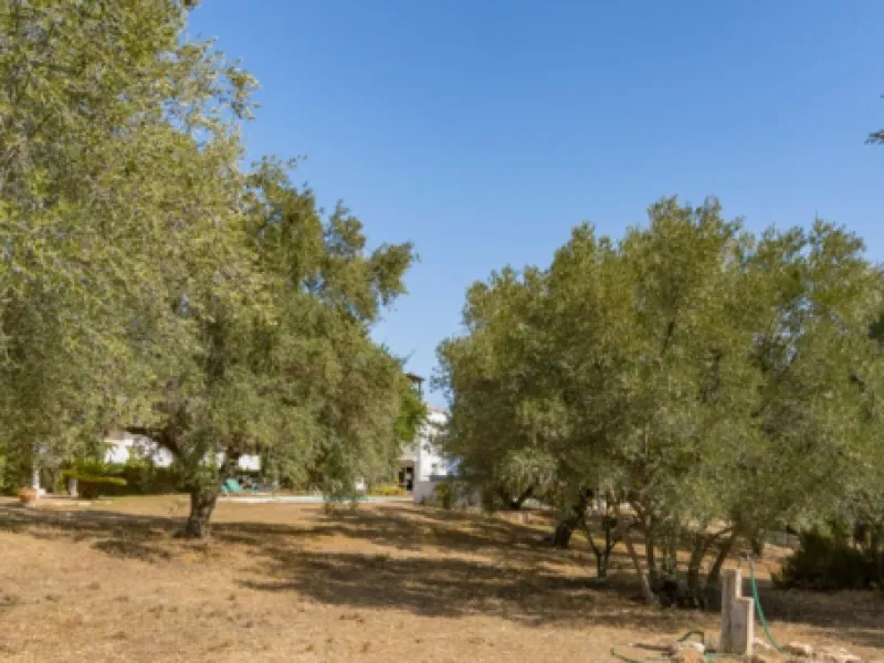 Unique Property with Tremendous Potential in an Exclusive Location!