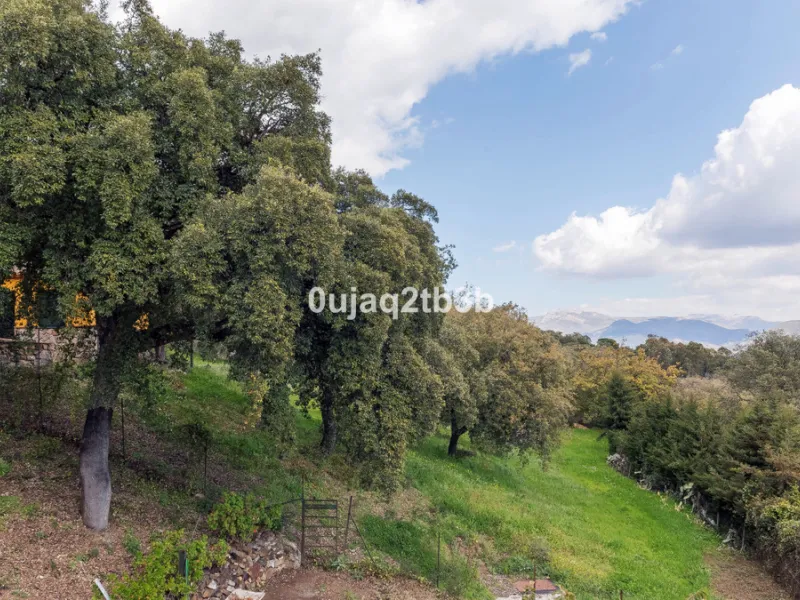This lovely finca style in Cortes de la Frontera offers the perfect combination of size, quality, tranquility and much more only kilometers inland from the busy coast. Take flight from your home town in northern Europe and arrive to your own hideaway. Get