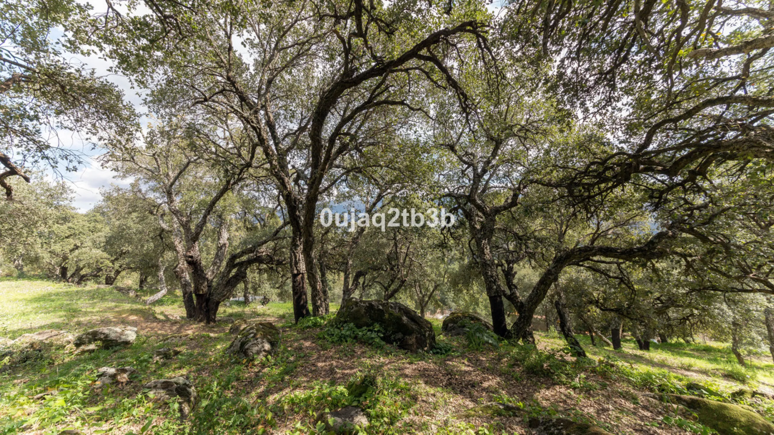 This lovely finca style in Cortes de la Frontera offers the perfect combination of size, quality, tranquility and much more only kilometers inland from the busy coast. Take flight from your home town in northern Europe and arrive to your own hideaway. Get