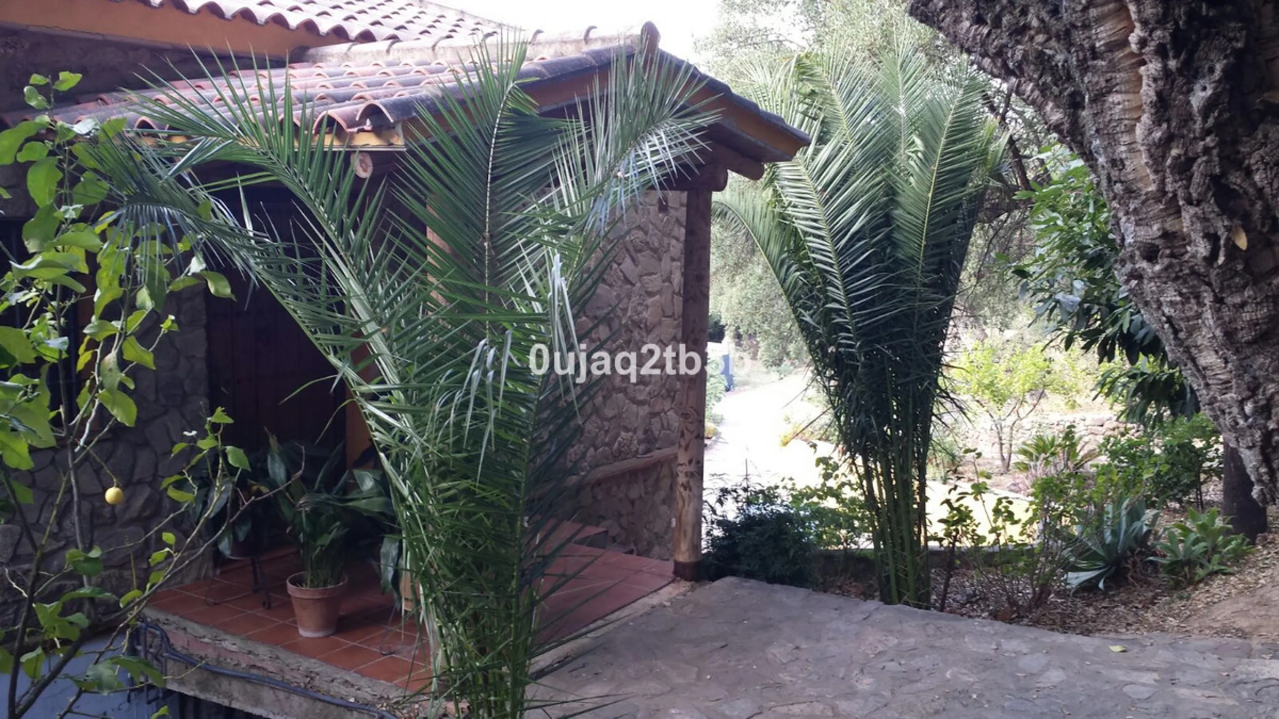 This lovely finca style in Cortes de la Frontera offers the perfect combination of size, quality, tranquility and much more only kilometers inland from the busy coast. Take flight from your home town in northern Europe and arrive to your own hideaway. Get