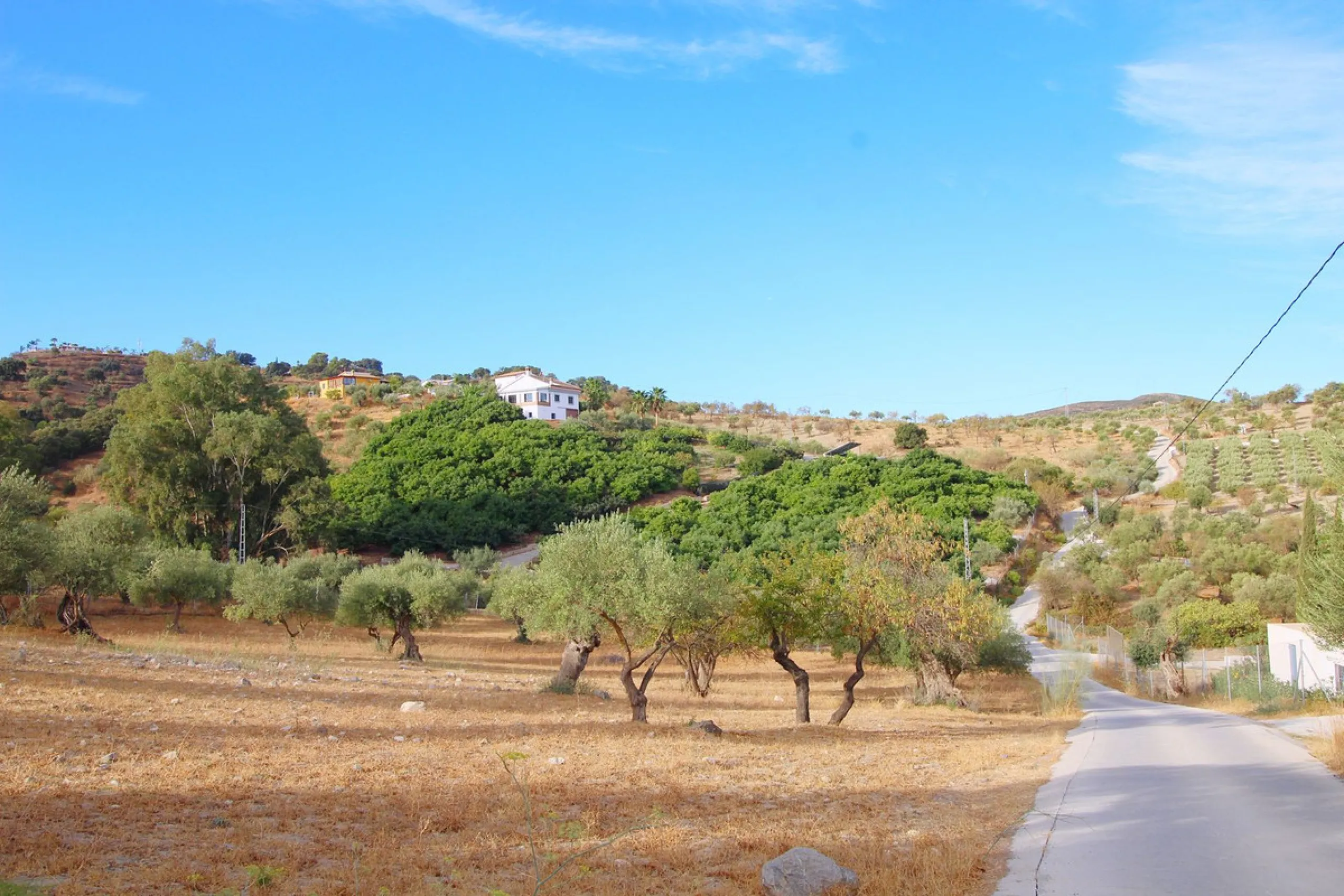 Stunning country house with wonderful views, with a profit of € 30,000 from the own avocado plantation, per year.