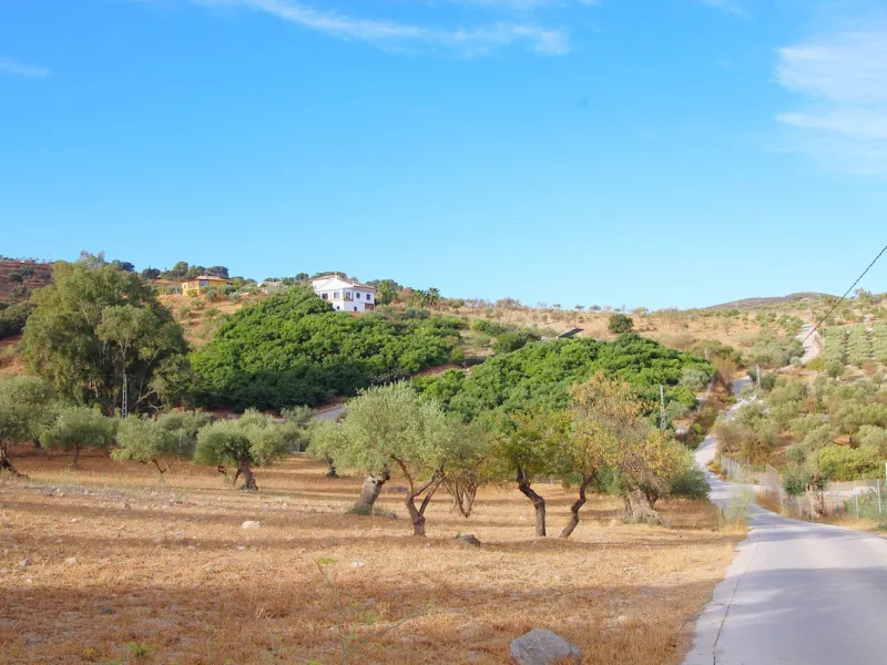 Stunning country house with wonderful views, with a profit of € 30,000 from the own avocado plantation, per year.