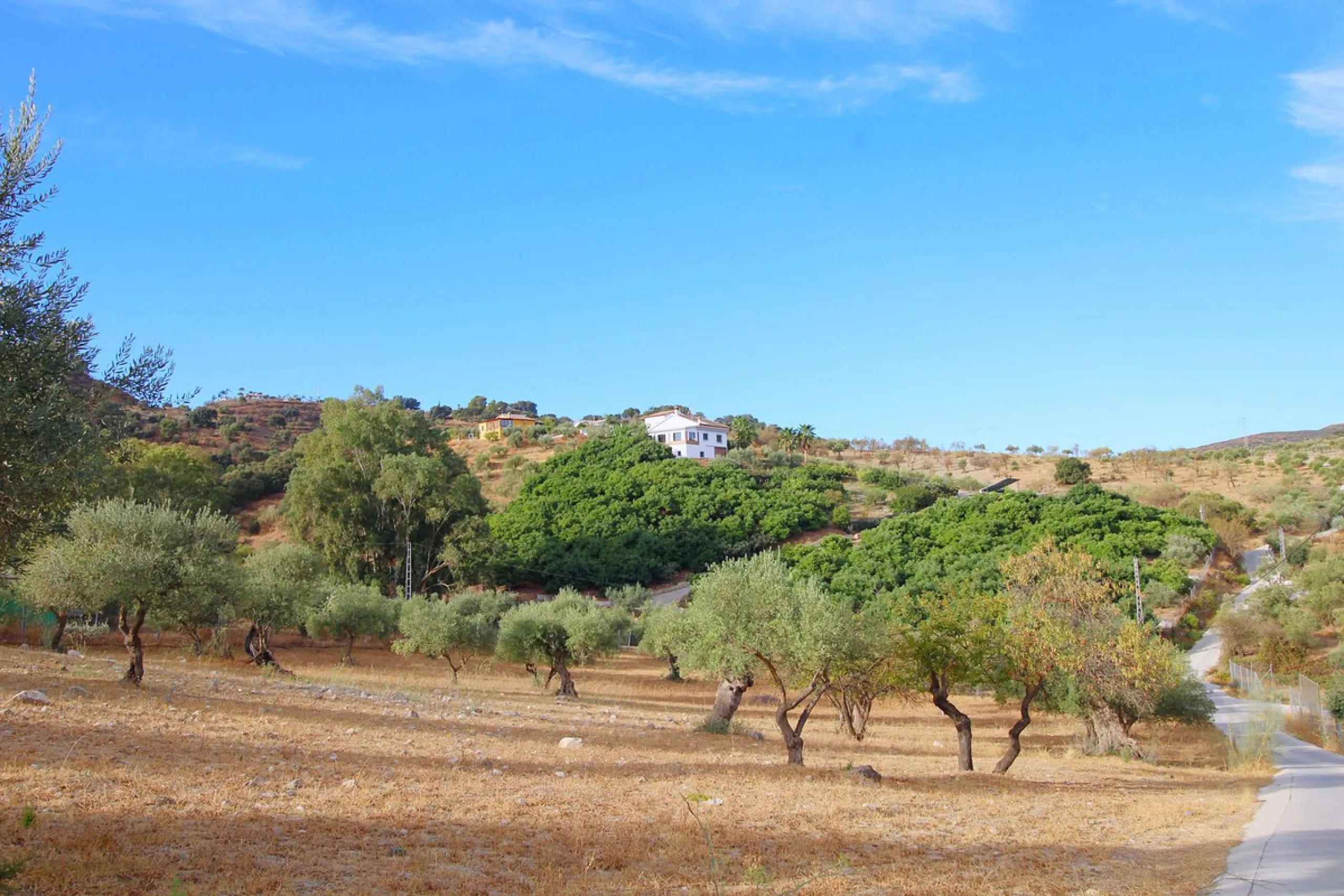 Stunning country house with wonderful views, with a profit of € 30,000 from the own avocado plantation, per year.