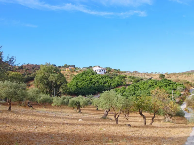 Stunning country house with wonderful views, with a profit of € 30,000 from the own avocado plantation, per year.