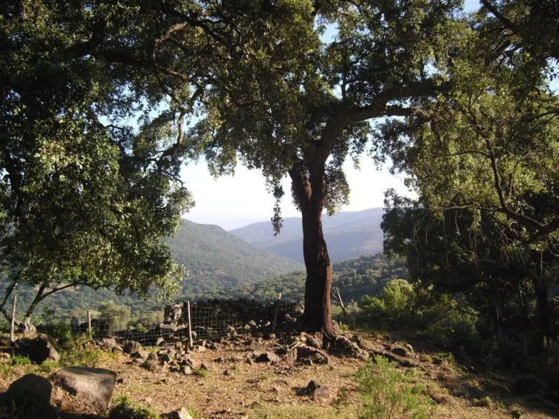 Plot for sale in , Cortes de la Frontera with with orientation south. Regarding property dimensions, it has 300,000 m² plot. Has the following facilities amenities near, country view, panoramic view and close to town.
