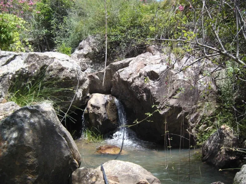 Plot for sale in , Cortes de la Frontera with with orientation south. Regarding property dimensions, it has 300,000 m² plot. Has the following facilities amenities near, country view, panoramic view and close to town.