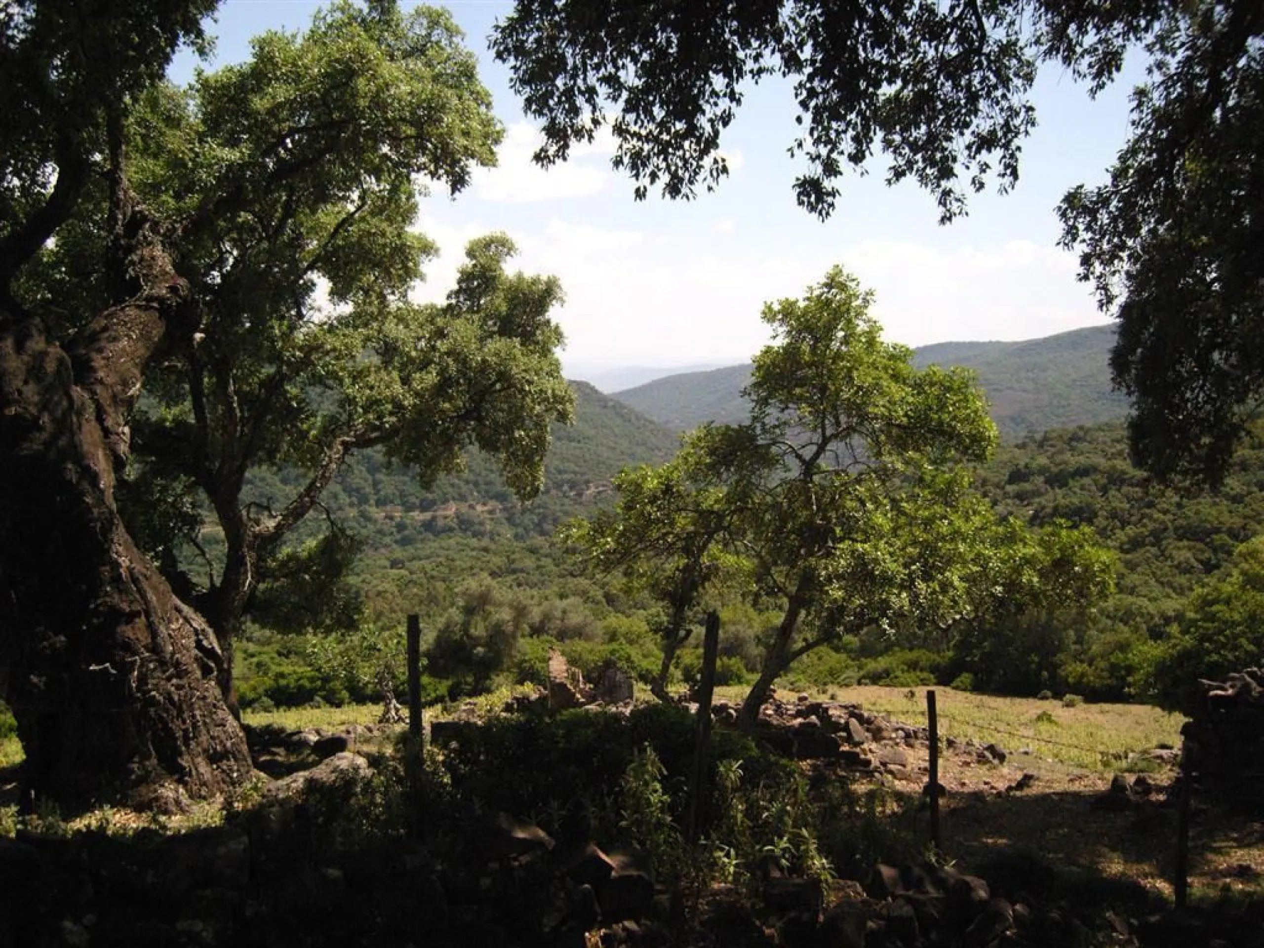 Plot for sale in , Cortes de la Frontera with with orientation south. Regarding property dimensions, it has 300,000 m² plot. Has the following facilities amenities near, country view, panoramic view and close to town.
