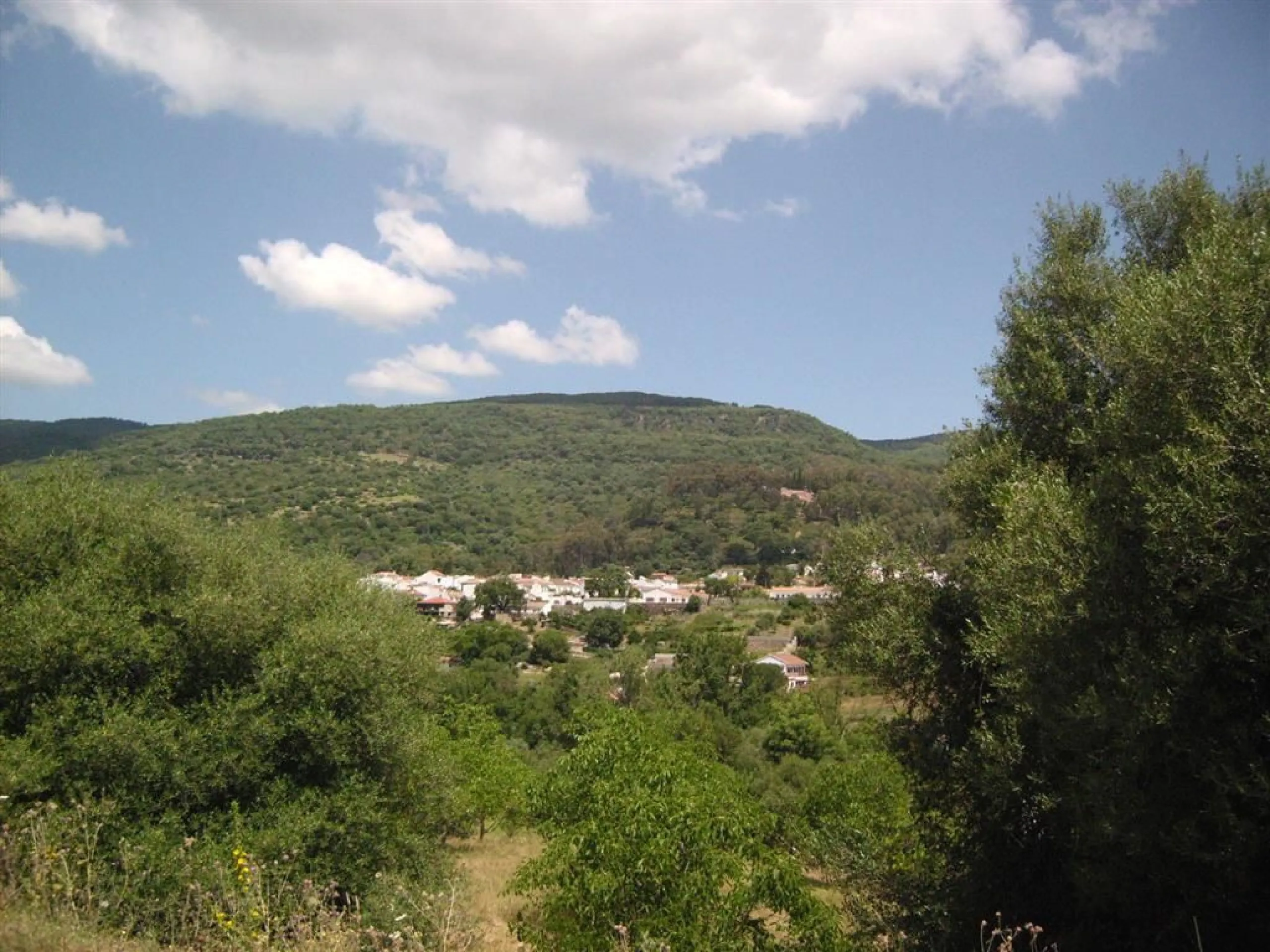 Plot for sale in , Cortes de la Frontera with with orientation south. Regarding property dimensions, it has 300,000 m² plot. Has the following facilities amenities near, country view, panoramic view and close to town.