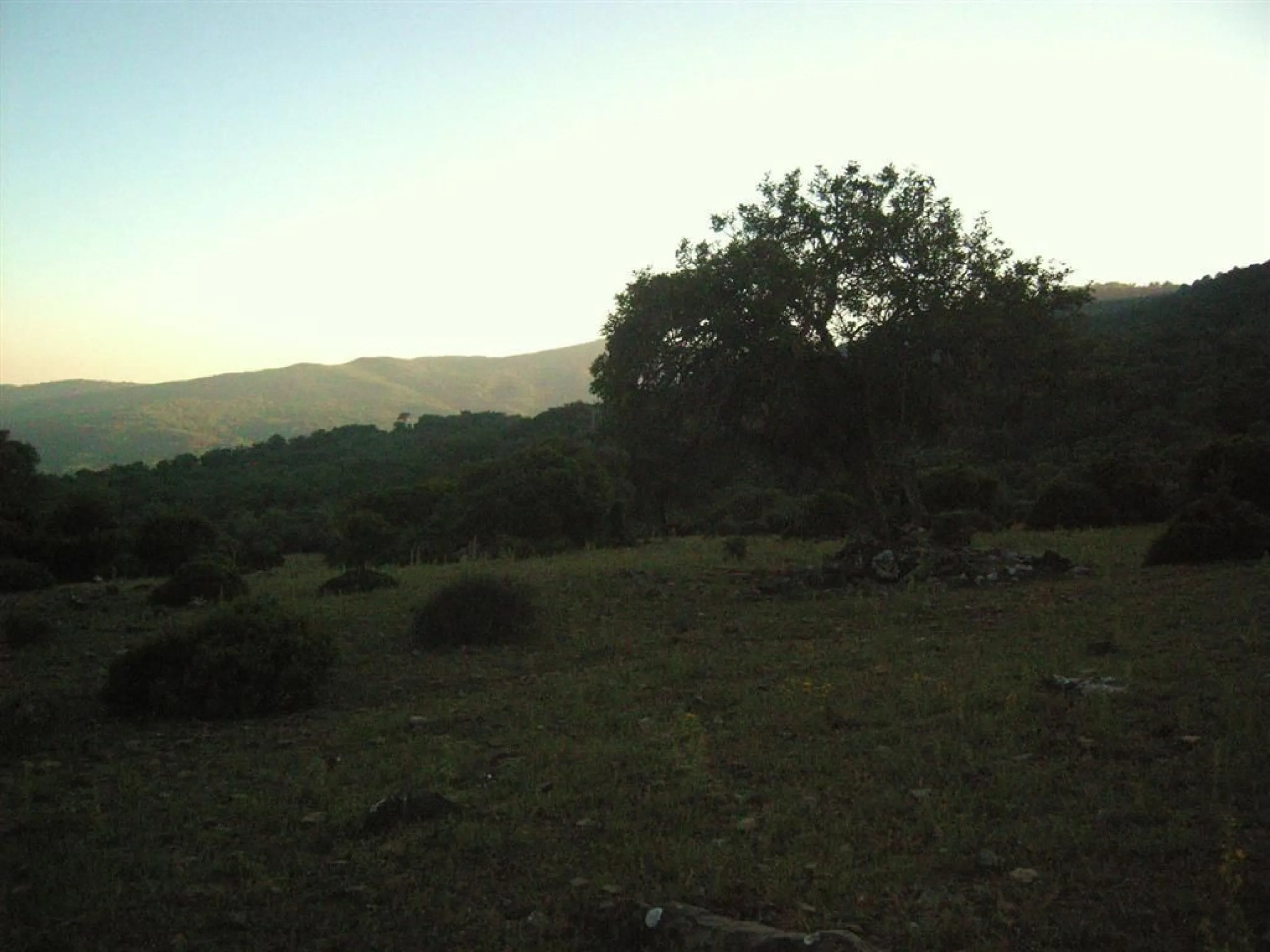 Plot for sale in , Cortes de la Frontera with with orientation south. Regarding property dimensions, it has 300,000 m² plot. Has the following facilities amenities near, country view, panoramic view and close to town.