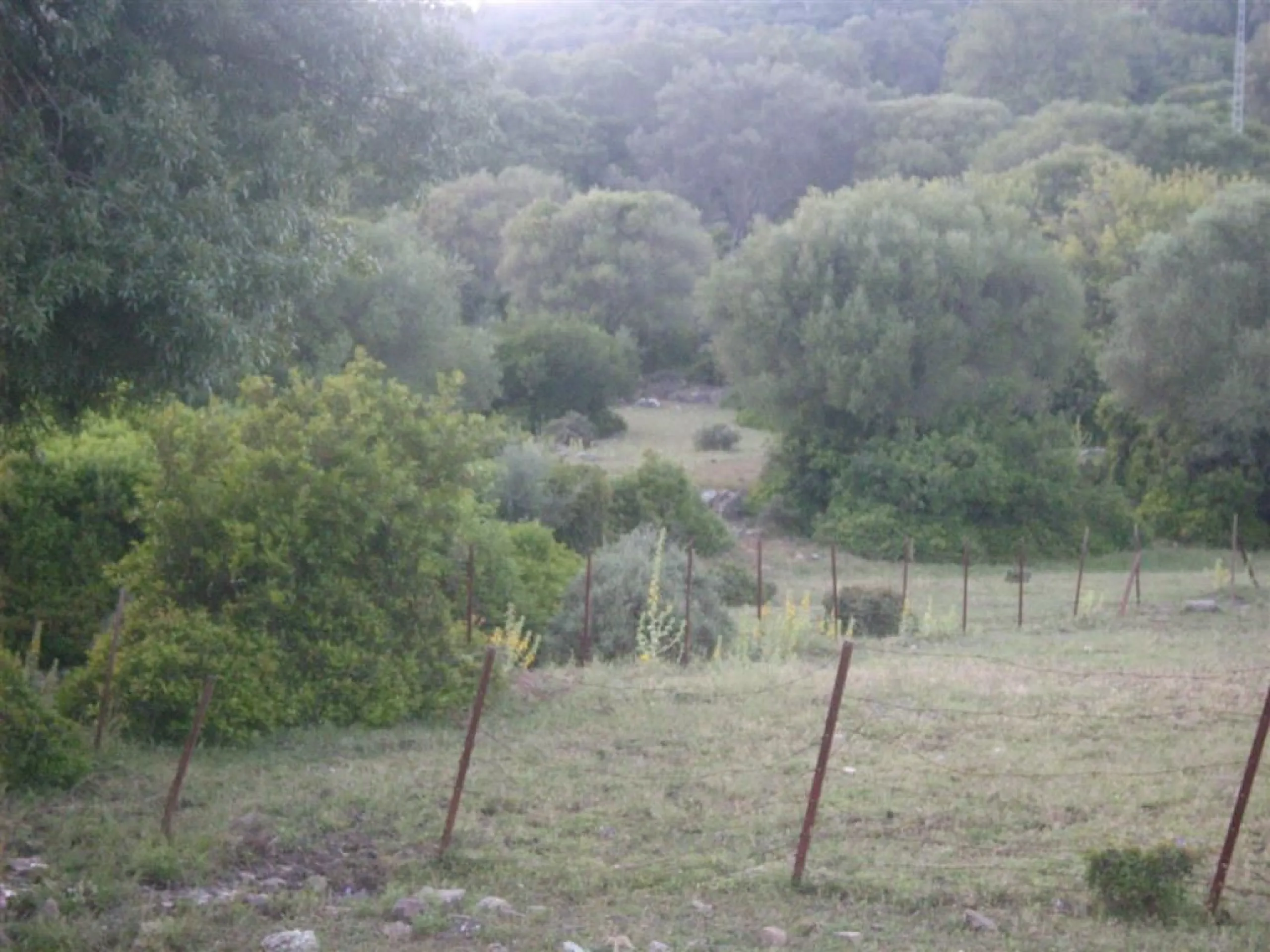 Plot for sale in , Cortes de la Frontera with with orientation south. Regarding property dimensions, it has 300,000 m² plot. Has the following facilities amenities near, country view, panoramic view and close to town.