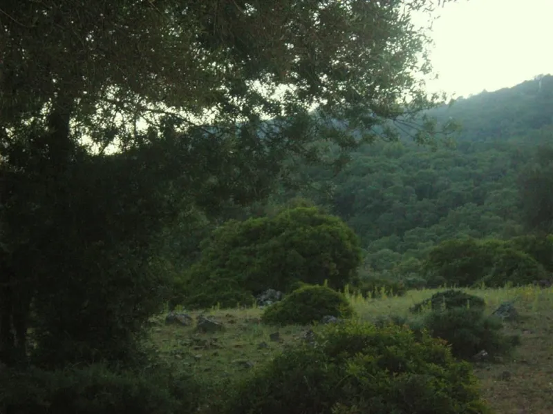 Plot for sale in , Cortes de la Frontera with with orientation south. Regarding property dimensions, it has 300,000 m² plot. Has the following facilities amenities near, country view, panoramic view and close to town.
