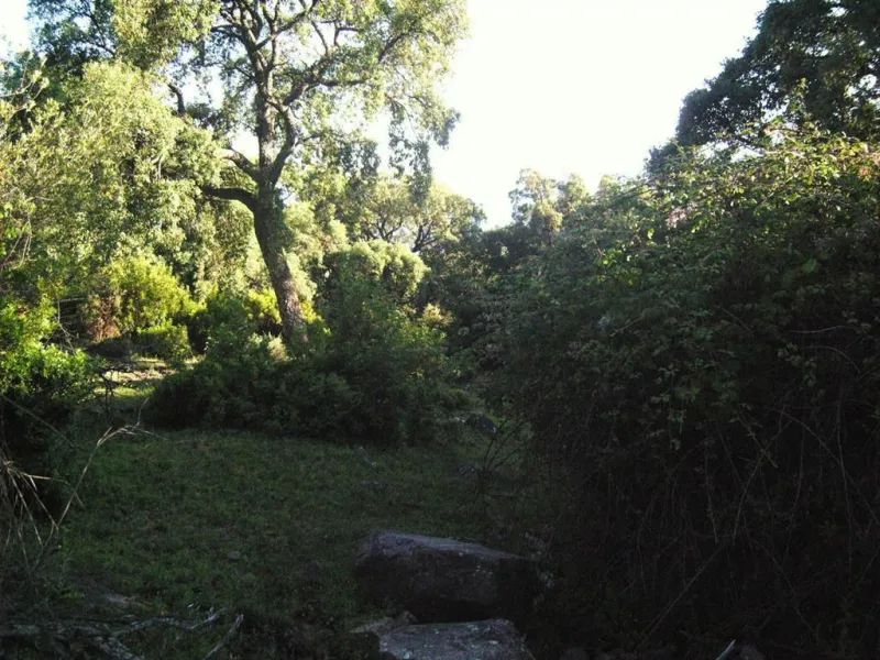 Plot for sale in , Cortes de la Frontera with with orientation south. Regarding property dimensions, it has 300,000 m² plot. Has the following facilities amenities near, country view, panoramic view and close to town.