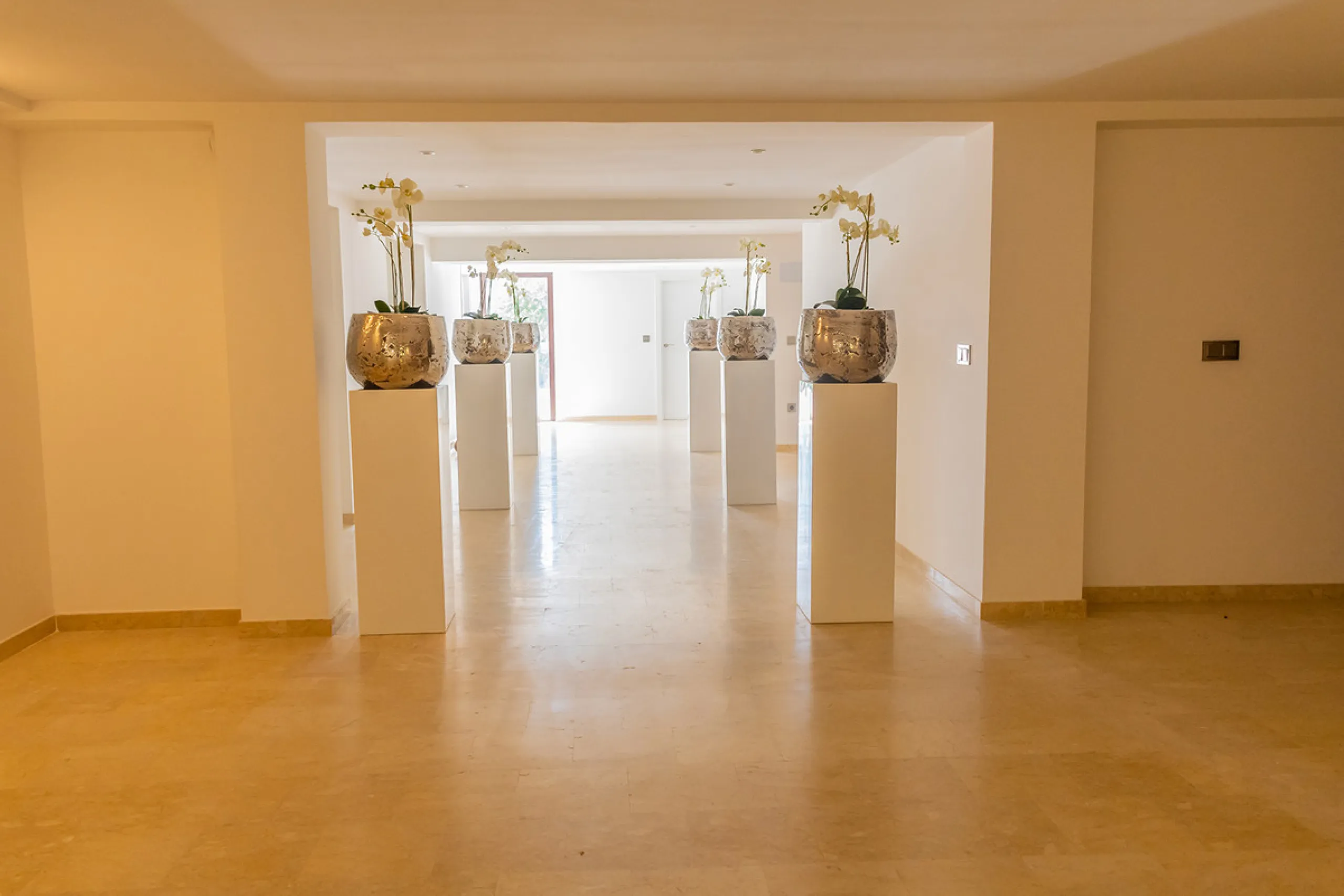 Impressive Luxury Villa in 24.500 m2 plot in Guadalmina.